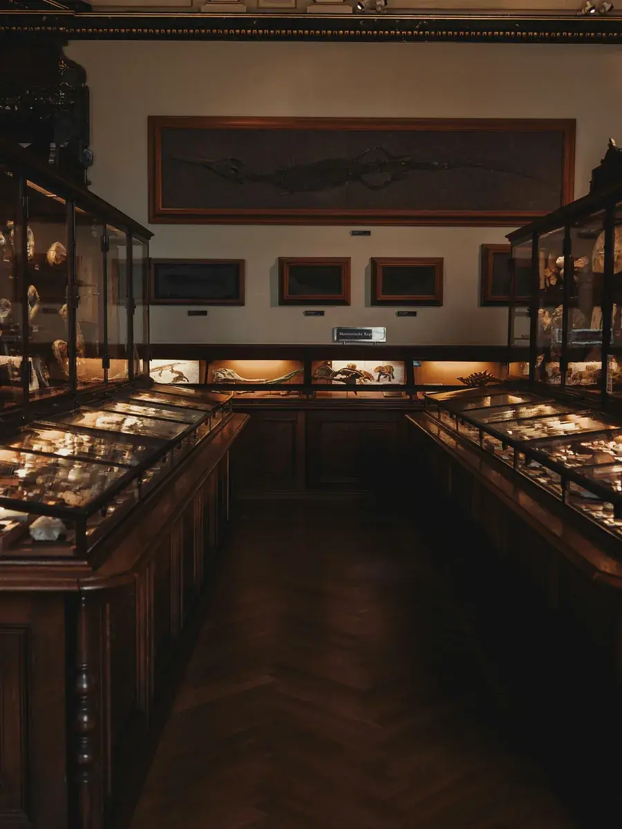 Wide antique display room with glass cases and warm wood cabinetry